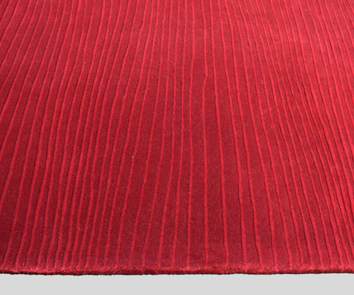 Machine Made 5 X 8 Carpet Mch1229