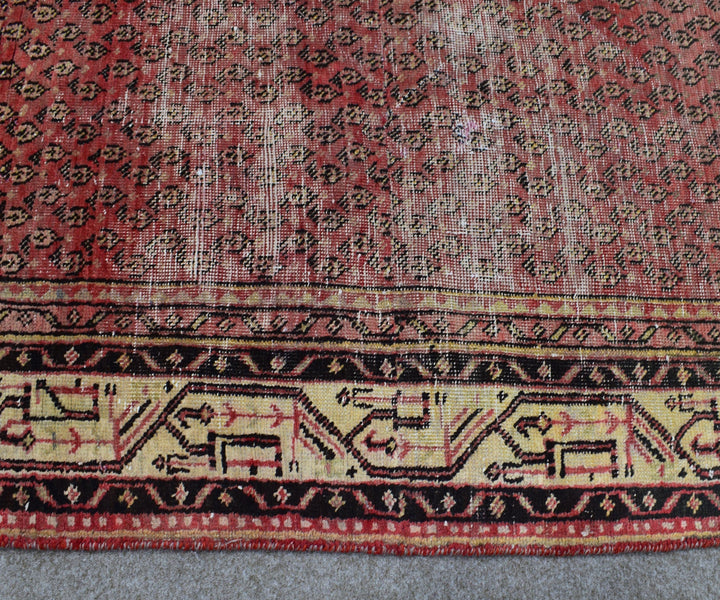 4 X 6 Ft Handmade Rug From Anatolian Design Turkish Wool Carpet Shr1131